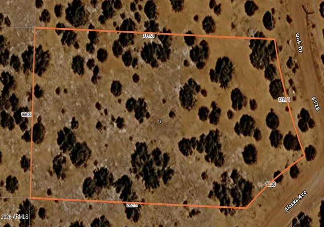 Homes for sale in Concho, AZ | 3 Acr 8128 Rd #250, Concho, AZ 85924 | MLS# 7041520