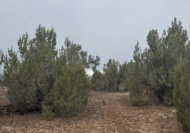 Homes for sale in Concho, AZ | 3 Acr 8128 Rd #250, Concho, AZ 85924 | MLS# 7041520