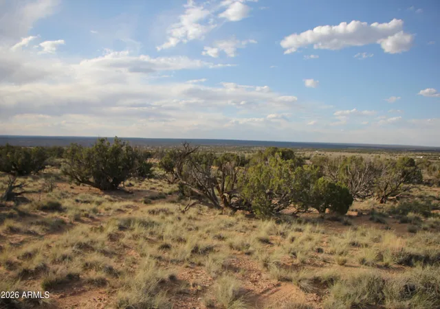 Photo 3 of Land for sale at 6711 N N6711 Rd #64, Saint Johns, AZ 85936 | MLS# 7041881 | Listing updated on 2026-06-14