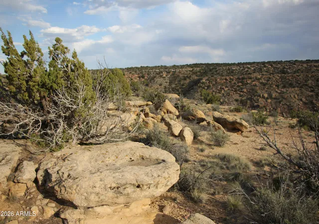 Photo 3 of Land for sale at 6711 N N6711 Rd #64, Saint Johns, AZ 85936 | MLS# 7041881 | Listing updated on 2026-06-14