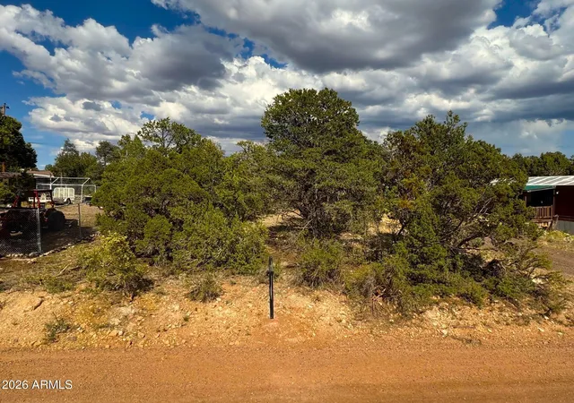 Homes for sale in Overgaard, AZ | 3491 Evergreen Dr #322, Overgaard, AZ 85933 | MLS# 7044617