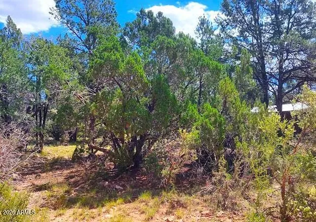 Homes for sale in Overgaard, AZ | 3491 Evergreen Dr #322, Overgaard, AZ 85933 | MLS# 7044617
