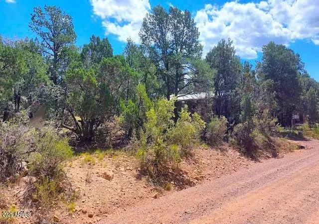Homes for sale in Overgaard, AZ | 3491 Evergreen Dr #322, Overgaard, AZ 85933 | MLS# 7044617