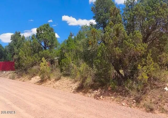Homes for sale in Overgaard, AZ | 3491 Evergreen Dr #322, Overgaard, AZ 85933 | MLS# 7044617
