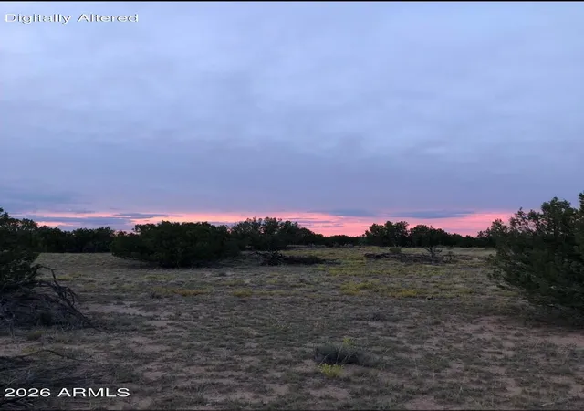 1st image of N7349 N N7349 #205-84-262, St Johns, AZ 85936 | MLS# 7042086