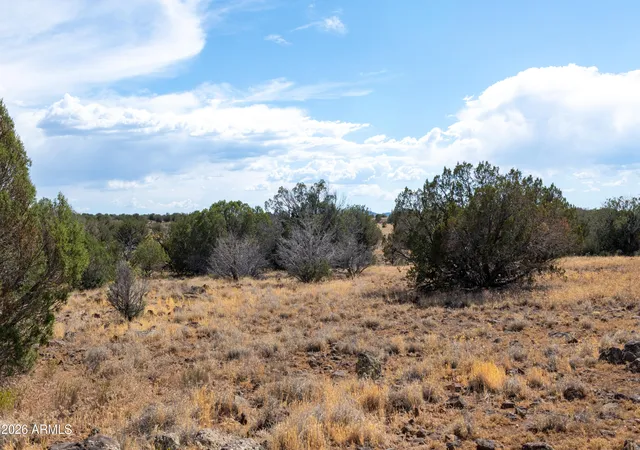 Homes for sale in Paulden, AZ | 213 Acres Off N Headwaters Rd #7, Paulden, AZ 86334 | MLS# 7042206