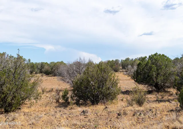 Homes for sale in Paulden, AZ | 213 Acres Off N Headwaters Rd #7, Paulden, AZ 86334 | MLS# 7042206