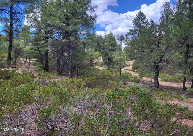 12th image of 1610 S High Valley Ranch Rd #6, Prescott, AZ 86303 | MLS# 7042325