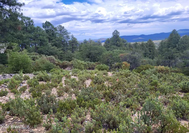 4th image of 1610 S High Valley Ranch Rd #6, Prescott, AZ 86303 | MLS# 7042325
