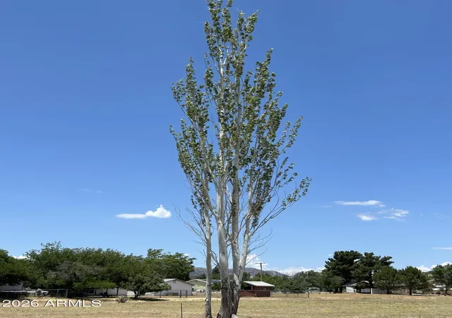Photo 4 of Land for sale at 18628 S Joseph Hodge Rd #80, Peeples Valley, AZ 86332 | MLS# 7044121 | Listing updated on 2026-07-07