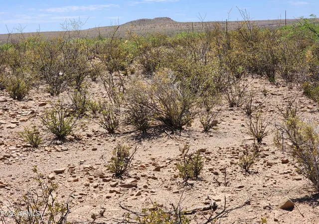 Homes for sale in Huachuca City, AZ | Lot A Bowers Rd #21, Huachuca City, AZ 85616 | MLS# 7043601