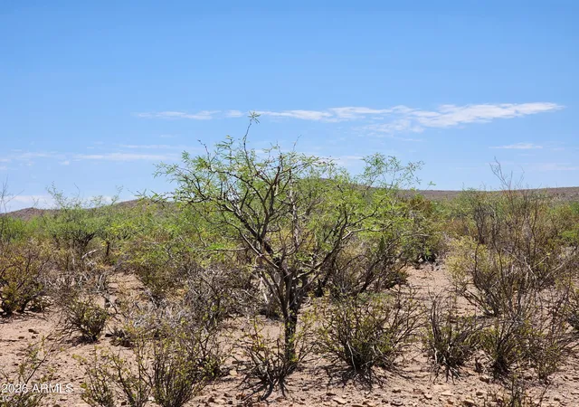 Homes for sale in Huachuca City, AZ | Lot A Bowers Rd #21, Huachuca City, AZ 85616 | MLS# 7043601