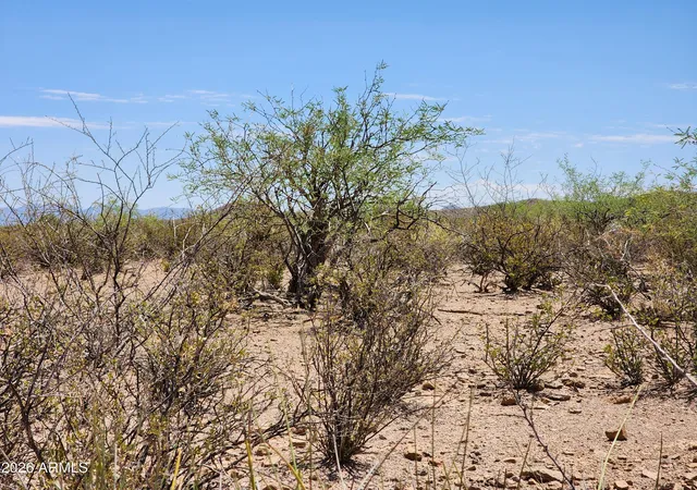 Homes for sale in Huachuca City, AZ | Lot A Bowers Rd #21, Huachuca City, AZ 85616 | MLS# 7043601