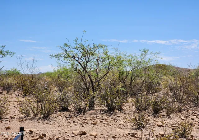 Homes for sale in Huachuca City, AZ | Lot A Bowers Rd #21, Huachuca City, AZ 85616 | MLS# 7043601