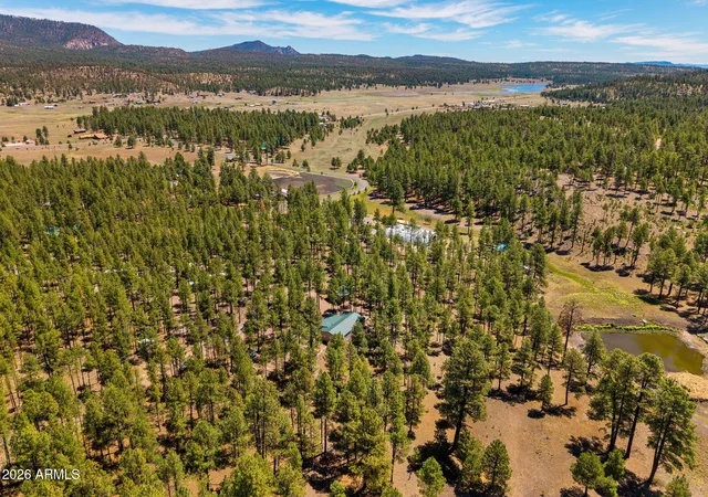 44th image of 7 N County Road N2132, Alpine, AZ 85920 | MLS# 7046068