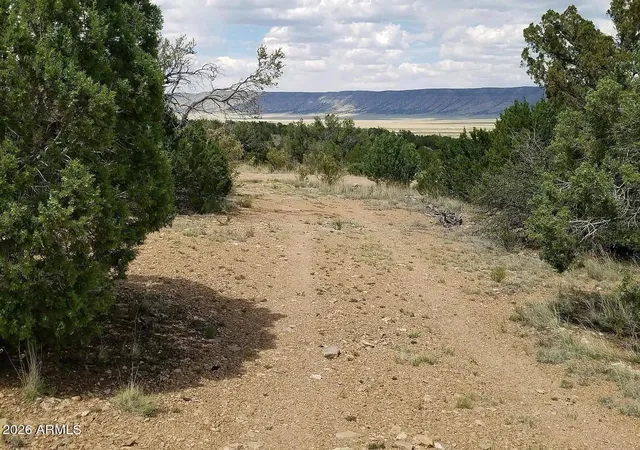 Photo 3 of Land for sale at 56766 N Bridge Cyn Pkwy #4367, Seligman, AZ 86337 | MLS# 7043295 | Listing updated on 2026-06-17