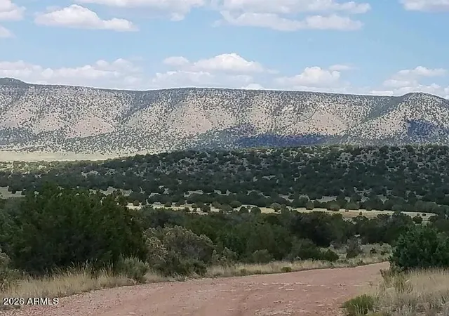 Photo 3 of Land for sale at 56766 N Bridge Cyn Pkwy #4367, Seligman, AZ 86337 | MLS# 7043295 | Listing updated on 2026-06-17
