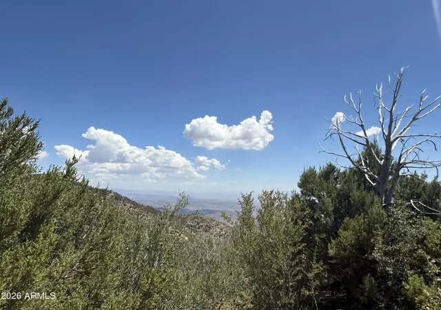 3rd image of 00 S Boulder Ridge Rd, Crown King, AZ 86343 | MLS# 7044421