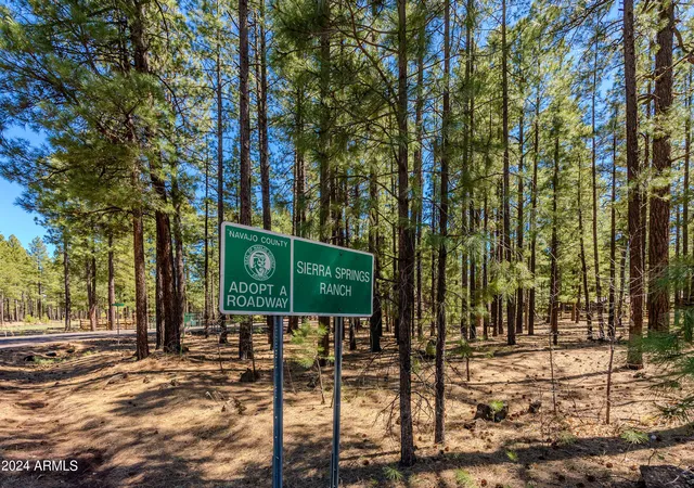 Homes for sale in Pinetop, AZ | 00000 Sky Hi Rd, Pinetop, AZ 85935 | MLS# 7043361