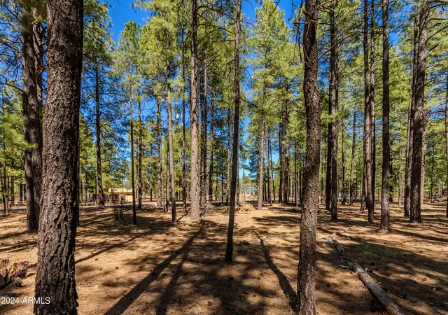 Homes for sale in Pinetop, AZ | 00000 Sky Hi Rd, Pinetop, AZ 85935 | MLS# 7043361