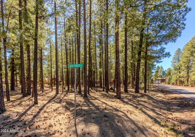 Homes for sale in Pinetop, AZ | 00000 Sky Hi Rd, Pinetop, AZ 85935 | MLS# 7043361