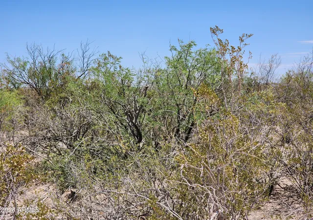Photo 2 of Land for sale at Lot B Bowers Rd #21, Huachuca City, AZ 85616 | MLS# 7043611 | Listing updated on 2026-07-20
