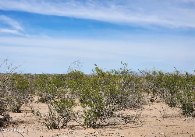 Homes for sale in Huachuca City, AZ | Lot C Charlies Trl #21, Huachuca City, AZ 85616 | MLS# 7043663