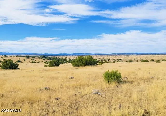Homes for sale in Concho, AZ | 0 Arapaho #3, Concho, AZ 85924 | MLS# 7043905