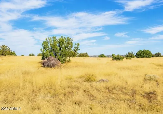 Homes for sale in Concho, AZ | 0 Arapaho #3, Concho, AZ 85924 | MLS# 7043905