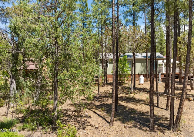 Homes for sale in Lakeside, AZ | 779 Lone Wolf Ln, Lakeside, AZ 85929 | MLS# 7044741