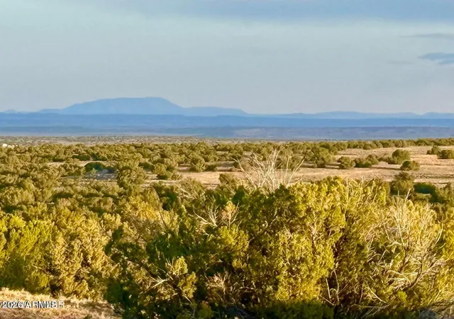1st image of Tbd Co Rd N7120 40 Acres, St Johns, AZ 85936 | MLS# 7044769