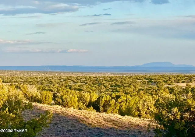 20th image of Tbd Co Rd N7120 40 Acres, St Johns, AZ 85936 | MLS# 7044769
