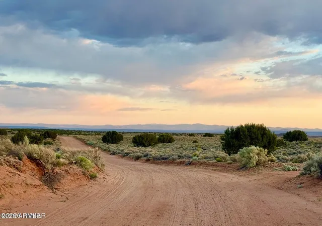 2nd image of Tbd Co Rd N7120 40 Acres, St Johns, AZ 85936 | MLS# 7044769