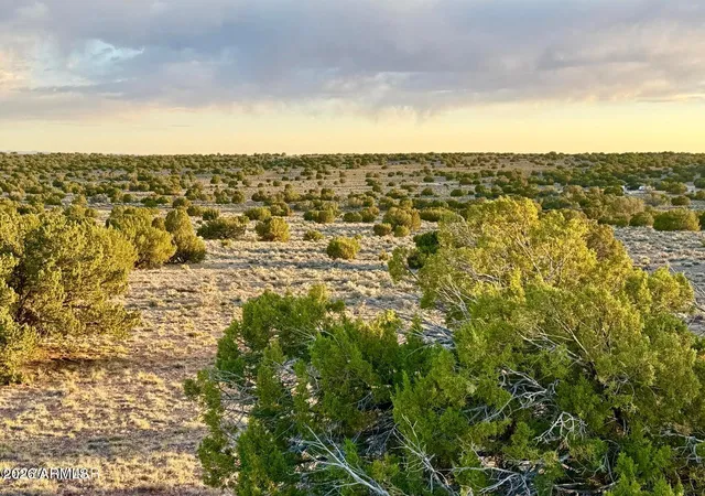 3rd image of Tbd Co Rd N7120 40 Acres --, St Johns, AZ 85936 | MLS# 7044769