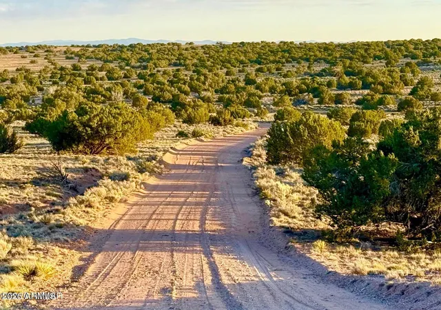 4th image of Tbd Co Rd N7120 40 Acres --, St Johns, AZ 85936 | MLS# 7044769