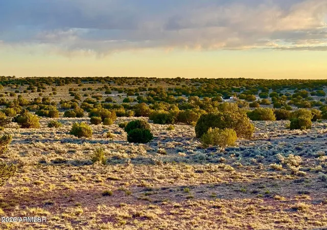 5th image of Tbd Co Rd N7120 40 Acres --, St Johns, AZ 85936 | MLS# 7044769