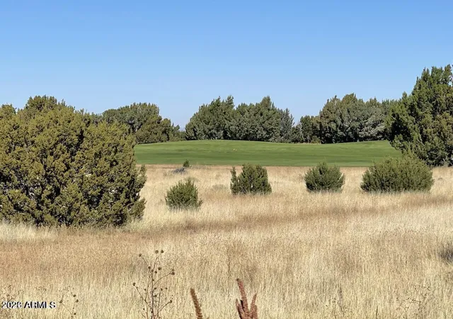 15th image of 8414 Lake View Dr #35, Show Low, AZ 85901 | MLS# 7044906