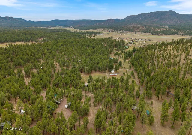 19th image of Tbd County Rd 2121, Alpine, AZ 85920 | MLS# 7044873