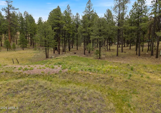 1st image of Tbd County Rd 2121, Alpine, AZ 85920 | MLS# 7044873
