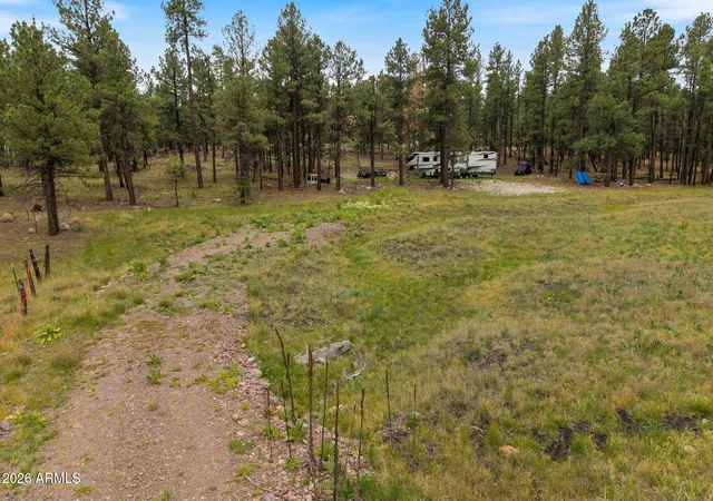 2nd image of Tbd County Rd 2121, Alpine, AZ 85920 | MLS# 7044873