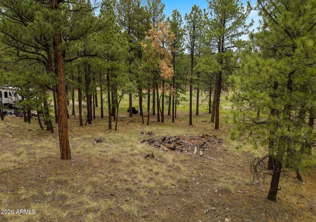 Photo 3 of Land for sale at Tbd County Rd 2121, Alpine, AZ 85920 | MLS# 7044873 | Listing updated on 2026-06-22