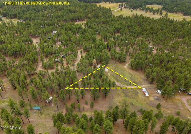 Photo 3 of Land for sale at Tbd County Rd 2121, Alpine, AZ 85920 | MLS# 7044873 | Listing updated on 2026-06-22