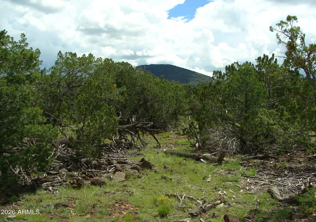 Photo 1 of Land for sale at 000 W Calle Adan #4992, Seligman, AZ 86337 | MLS# 7044945 | Listing updated on 2026-09-11