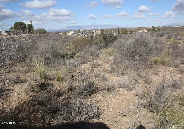 Homes for sale in Tombstone, AZ | 000 N Ed West Rd, Tombstone, AZ 85638 | MLS# 7045044