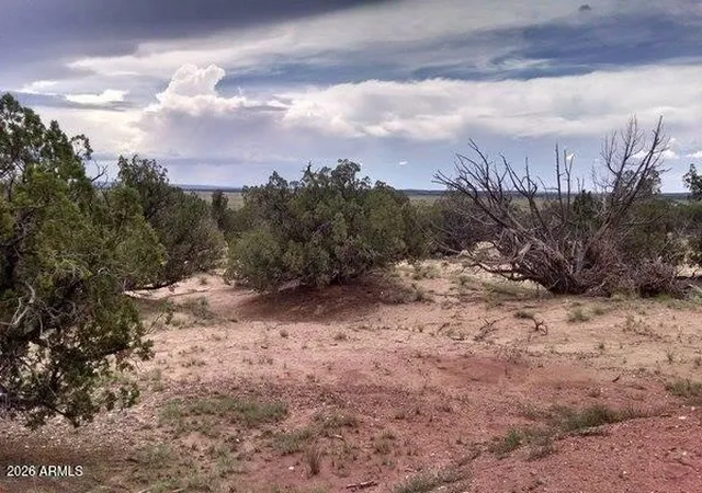 4th image of 000 N6315 -- #115, Saint Johns, AZ 85936 | MLS# 7045053