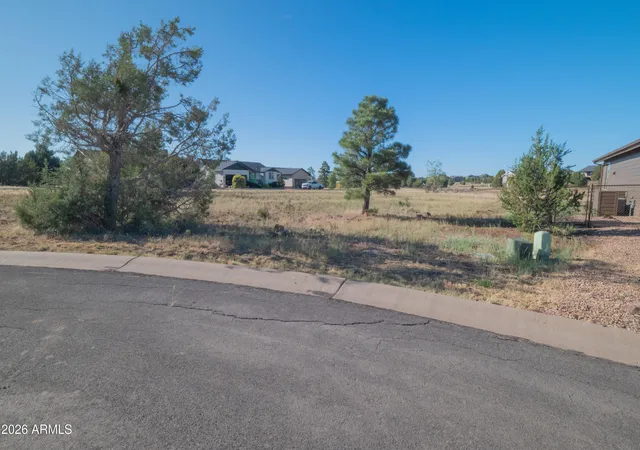 1st image of 981 S Lorenzo Sitgreaves Dr #75, Show Low, AZ 85901 | MLS# 7045060