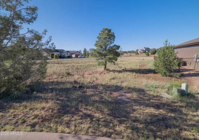 2nd image of 981 S Lorenzo Sitgreaves Dr #75, Show Low, AZ 85901 | MLS# 7045060