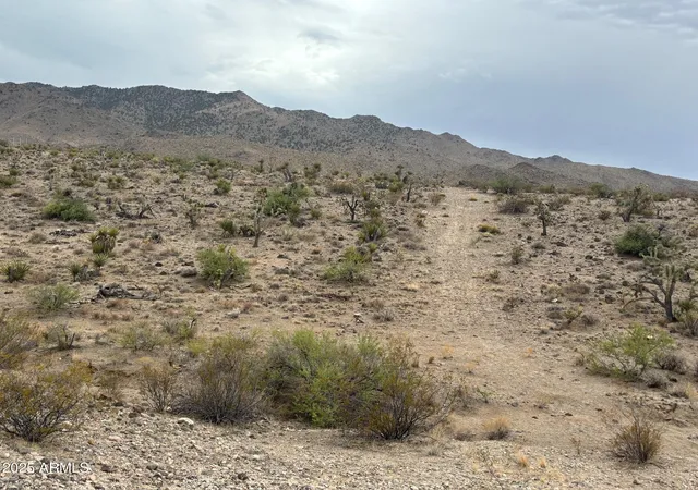 1st image of 000 N Mohave Dr #48, Dolan Springs, AZ 86441 | MLS# 7045055