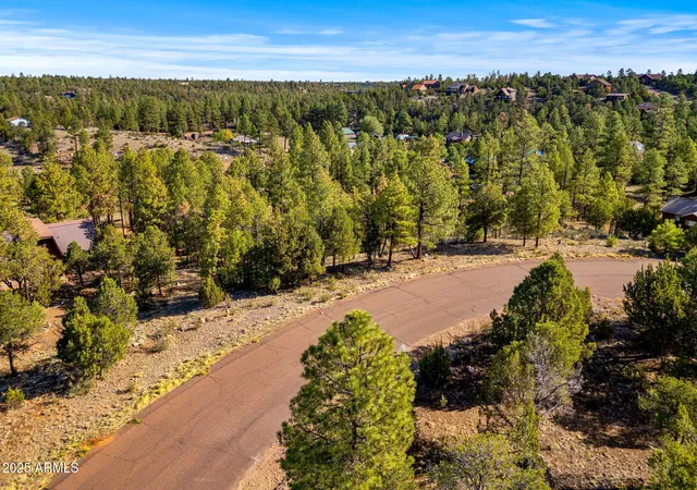 Homes for sale in Overgaard, AZ | 2794 Skyhawk Dr #140, Overgaard, AZ 85933 | MLS# 7047384