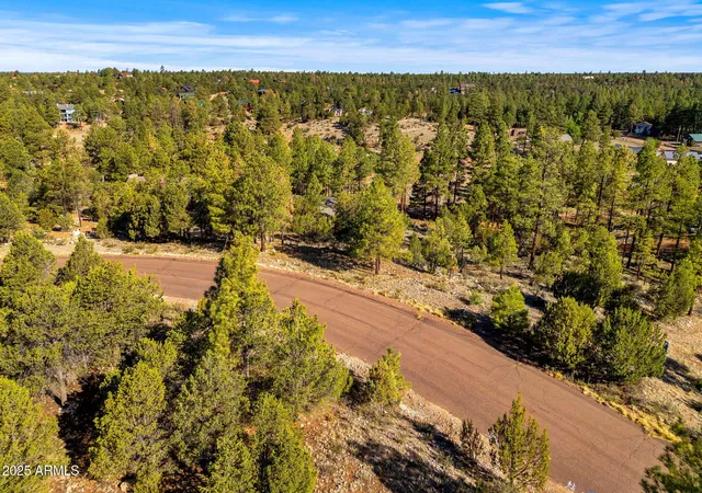 Homes for sale in Overgaard, AZ | 2794 Skyhawk Dr #140, Overgaard, AZ 85933 | MLS# 7047384